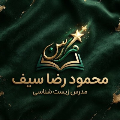 محمودرضا سیف