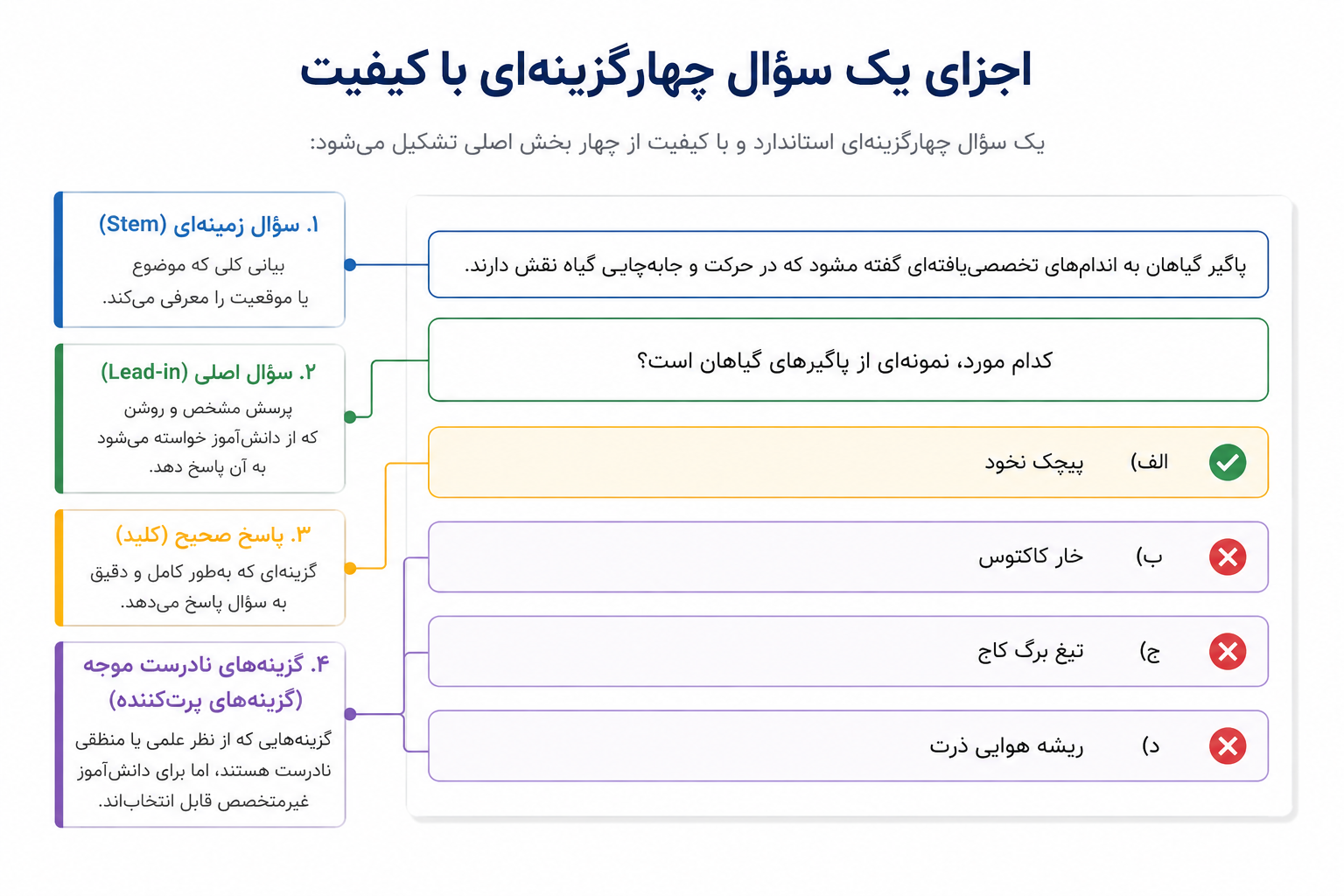 ساختار سوال چهارگزینهای استاندارد شامل Stem، گزینه صحیح و Distractorها